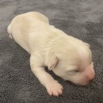 Chloe 1 Woche